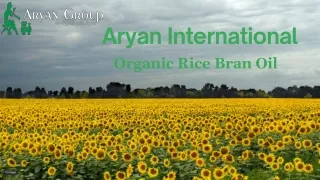 Organic Rice Bran Oil - Aryan International