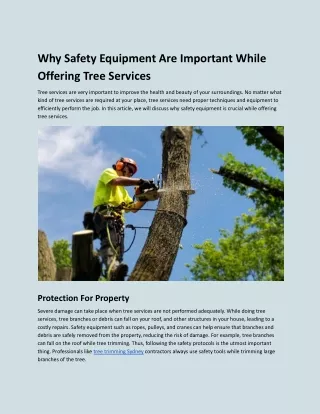 Why Safety Equipment Are Important While Offering Tree Services