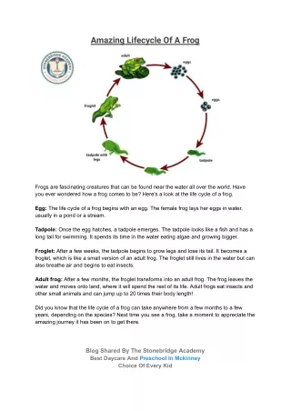 Amazing Lifecycle Of A Frog