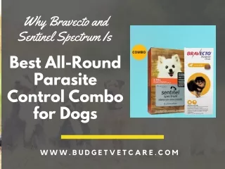 Why Bravecto and Sentinel Spectrum Is best Combo for Dogs