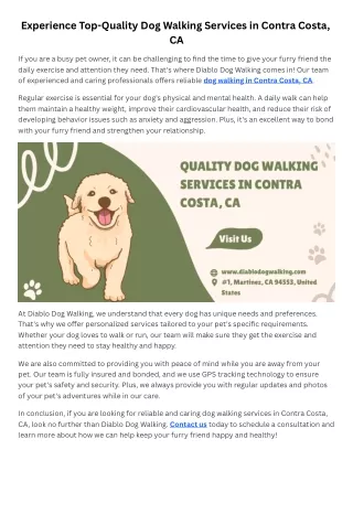 Experience Top-Quality Dog Walking Services in Contra Costa, CA