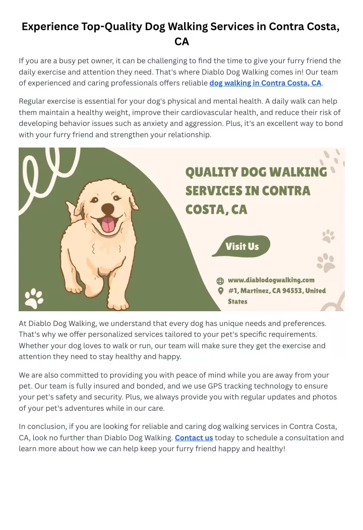 experience top quality dog walking services