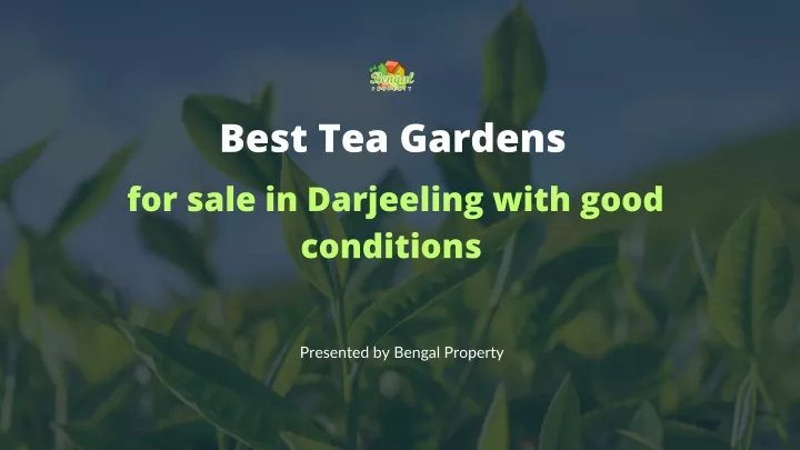 best tea gardens