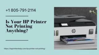 How to Fix When HP Printer Not Printing? Reach 1-8057912114 Now