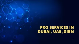 PRO SERVICES in Dubai, UAE ,DIBN