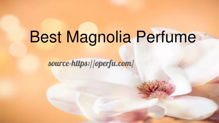 best magnolia perfume