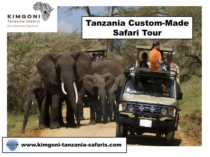 tanzania custom made s afari t our