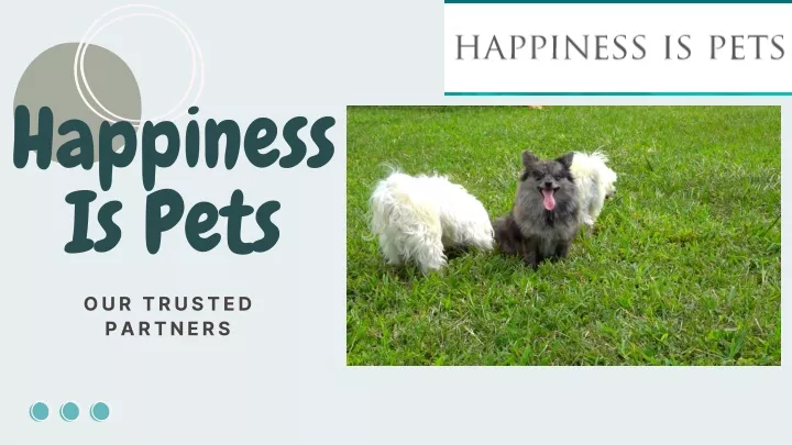 happiness is pets