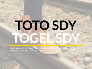 Toto Sdy