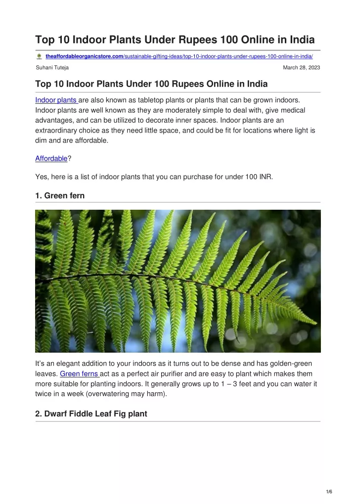 top 10 indoor plants under rupees 100 online