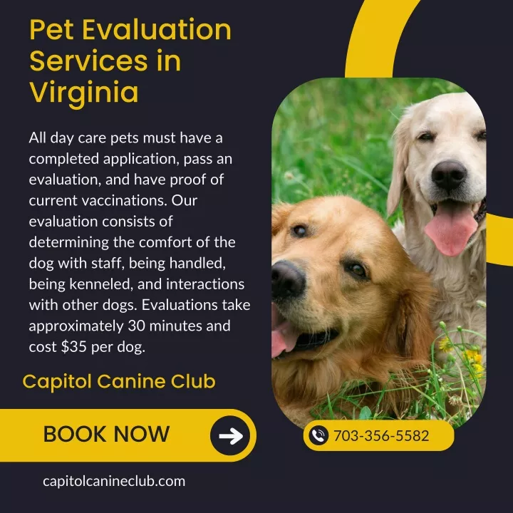 pet evaluation services in virginia