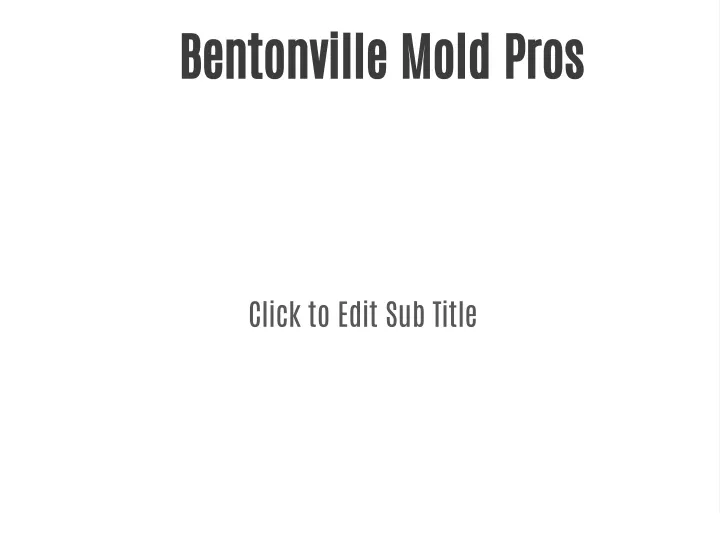 bentonville mold pros