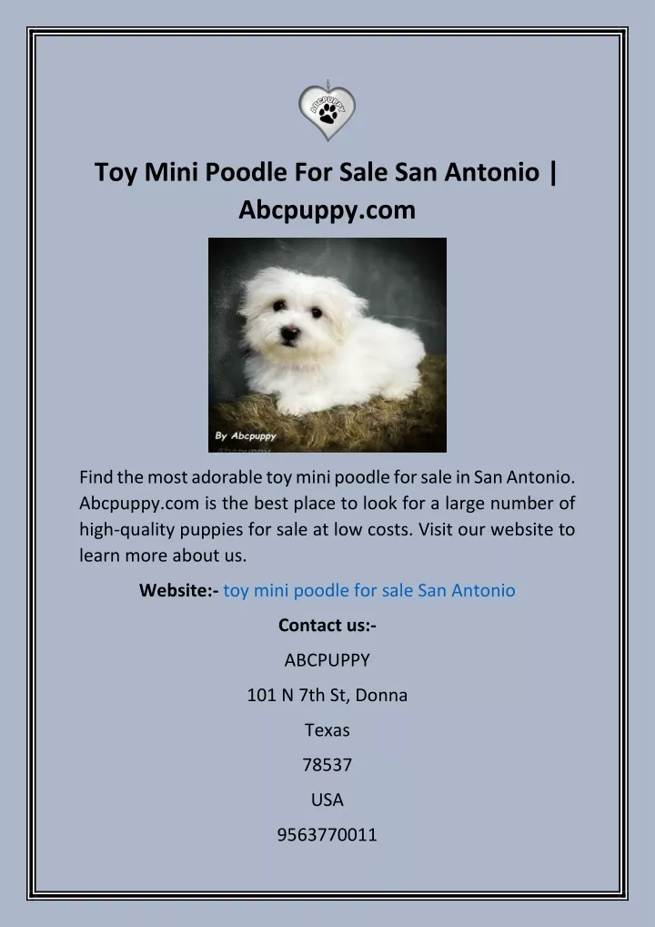 toy mini poodle for sale san antonio abcpuppy com