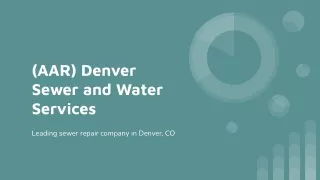 (AAR) Denver Sewer and Water Services
