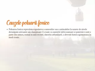 cauzele poluarii fonice poluarea fonica