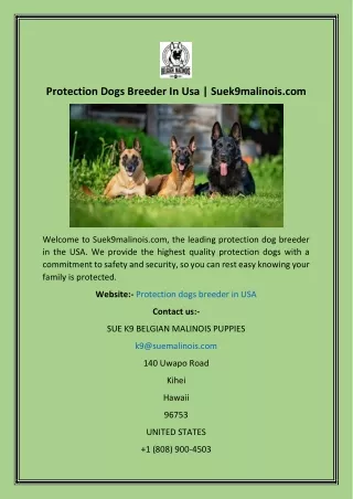 Protection Dogs Breeder In Usa  Suek9malinois