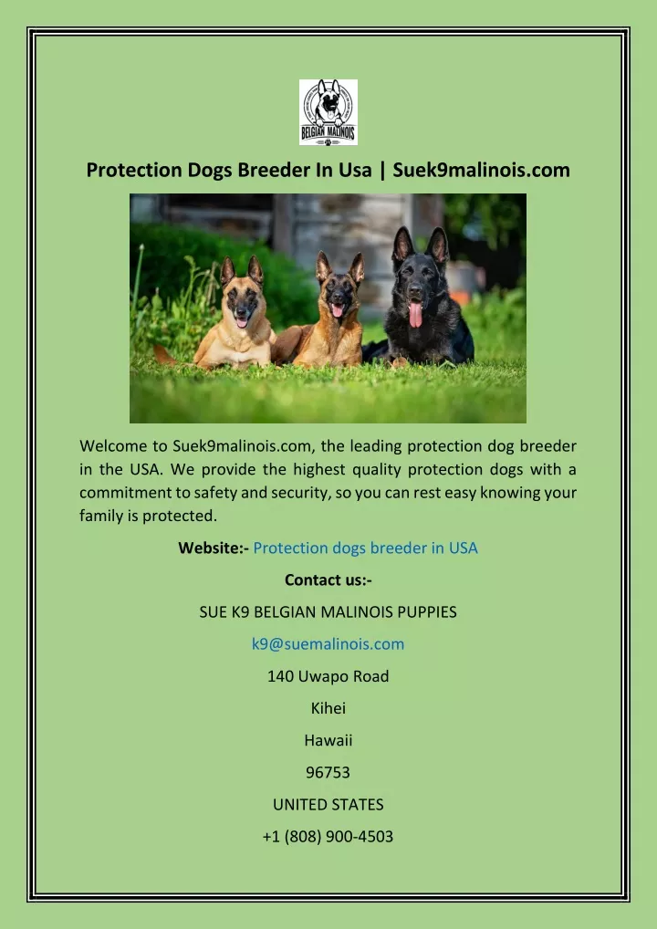 protection dogs breeder in usa suek9malinois com