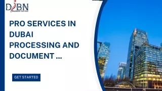 Pro Services in Dubai Processing and Document ...