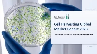 Cell Harvesting Market Estimated Growth Curve, Competitor Analysis And Top Segme
