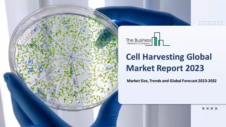 cell harvesting global market report 2023