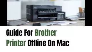 How To Fix It: Brother Printer Offline On Mac Issue