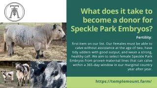 Speckle Park Embryos