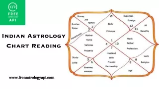 Indian Astrology Chart Reading