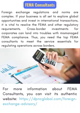fema consultants