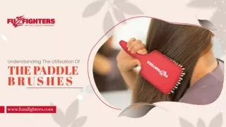 Understanding The Utilisation Of The Paddle Brushes