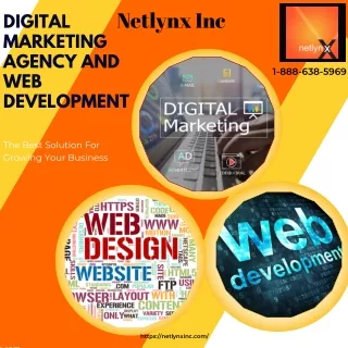 netlynx inc