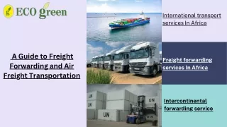 Best Air & Sea freight transportation service in Africa