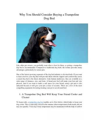 why you should consider buying a trampoline