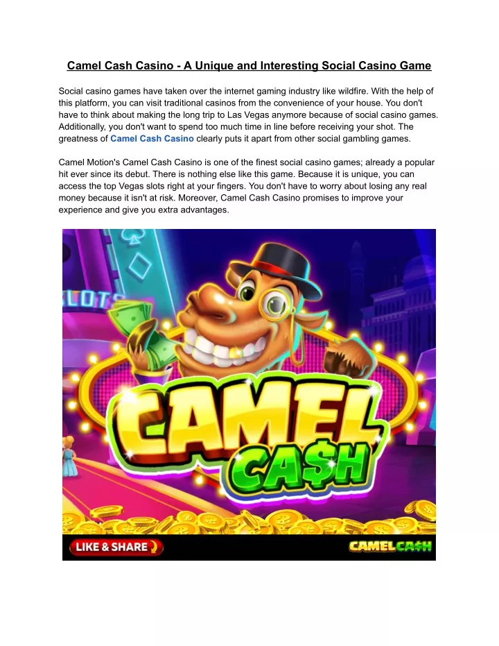 camel cash casino a unique and interesting social