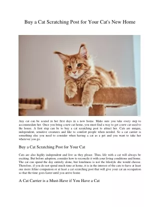 buy a cat scratching post for your cat s new home