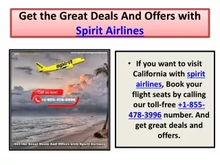 Get the Great Deals And Offers with Spirit Airlines