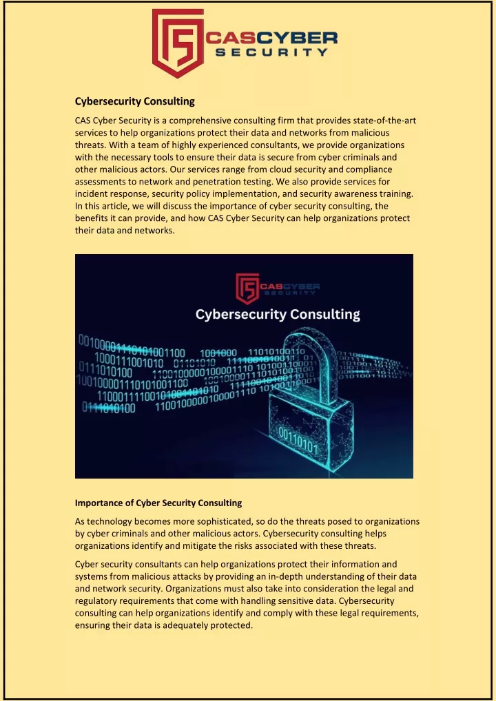 cybersecurity consulting