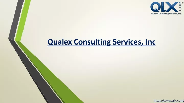 qualex consulting services inc