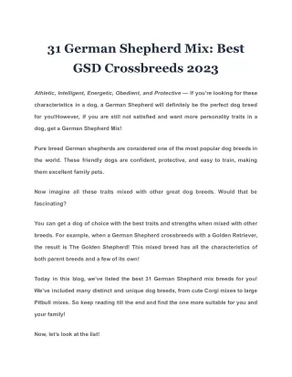31 German Shepherd Mix Best GSD Crossbreeds 2023