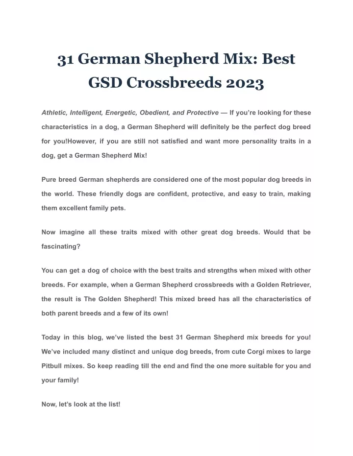 31 german shepherd mix best gsd crossbreeds 2023
