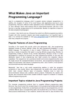 What makes Java an Important Programming Language? - slide 1