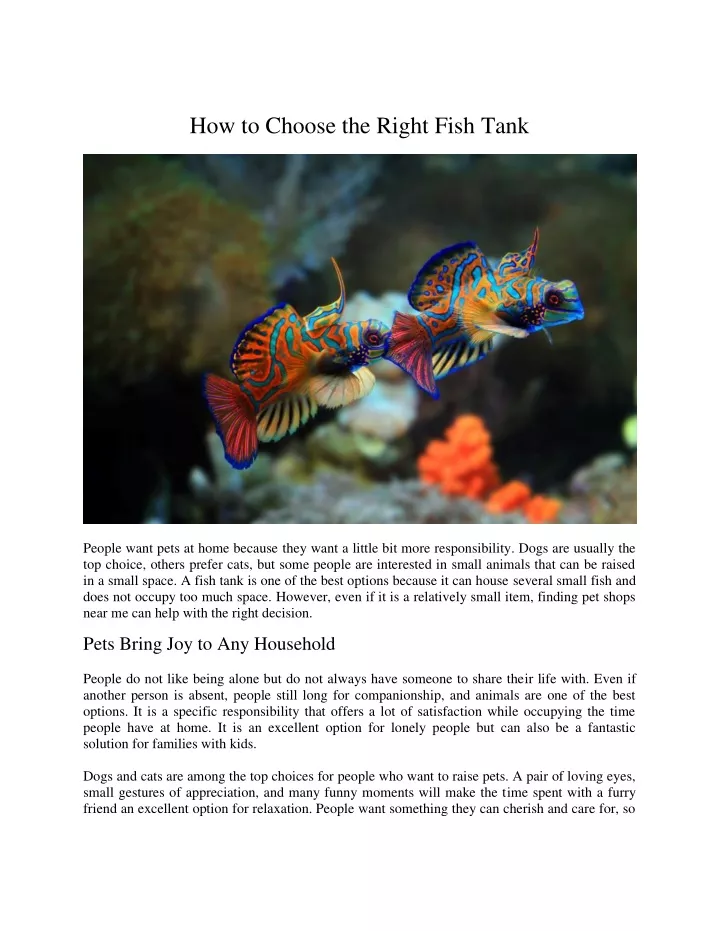 how to choose the right fish tank