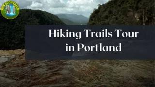 The Best Hiking Trails in Portland You'll Never Forget