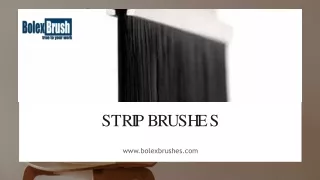 s t r i p b r u s h e s