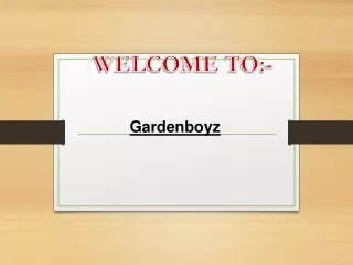 welcome to