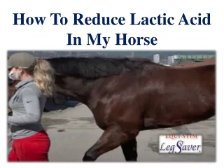 How To Reduce Lactic Acid In My Horse