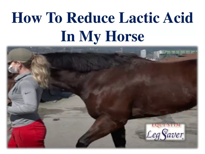 how to reduce lactic acid in my horse