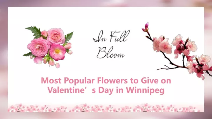 most popular flowers to give on valentine