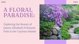 A Floral Paradise Exploring the Beauty of Queen Elizabeth II Botanic Park in the Cayman Islands