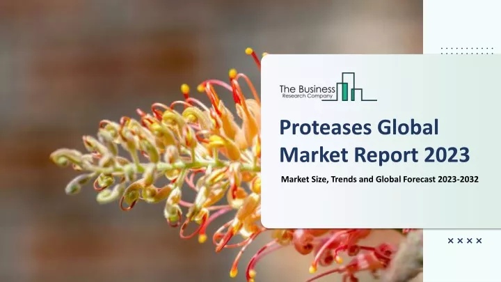 proteases global market report 2023