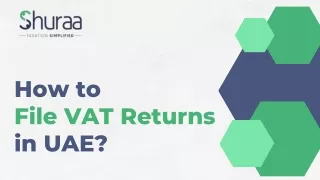 how to file vat returns in uae